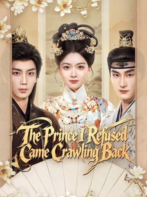 The Prince I Refused Came Crawling back