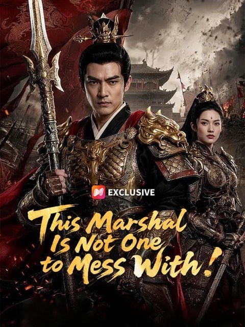 This Marshal Is Not One to Mess With