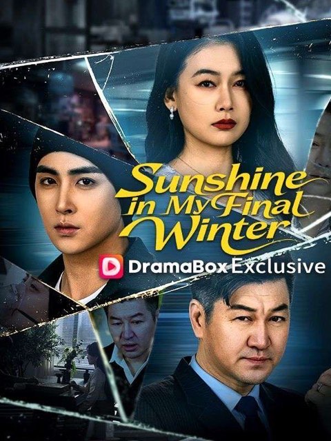Sunshine in My Final Winter