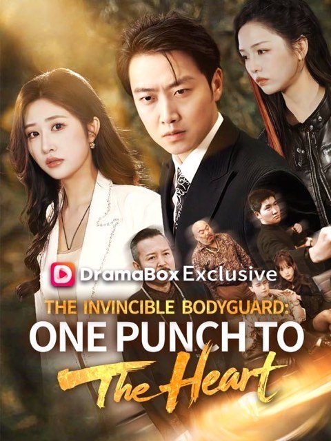 The Invincible Bodyguard One Punch to the Heart