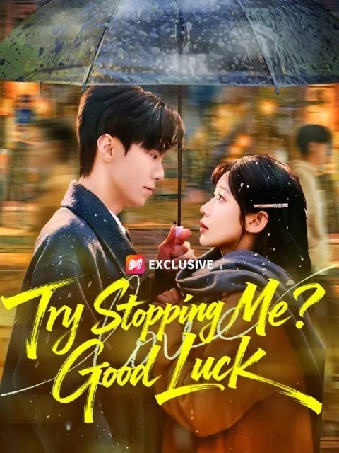 Try Stopping Me Good Luck
