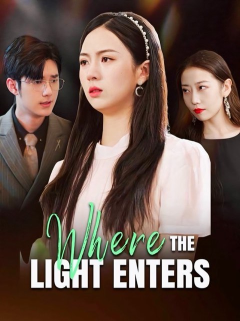 Where the Light Enters