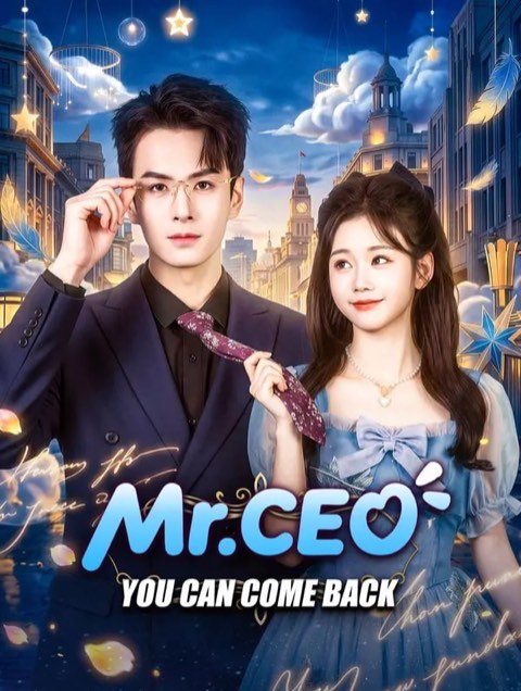 Mr CEO You Can Come Back