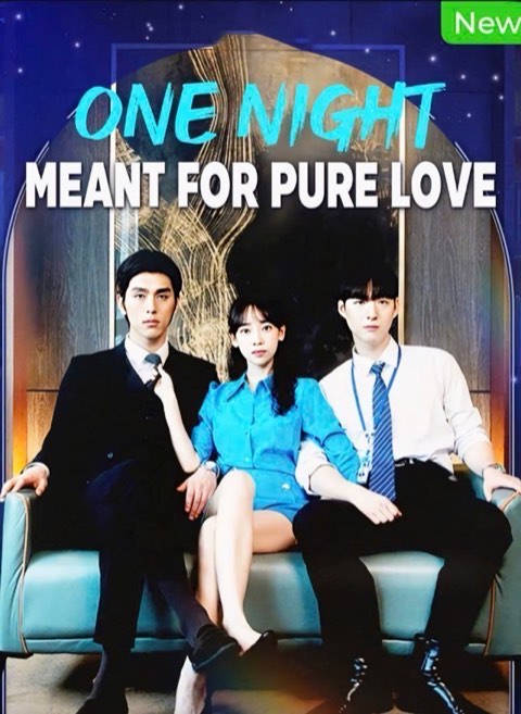 One Night Meant for Pure Love