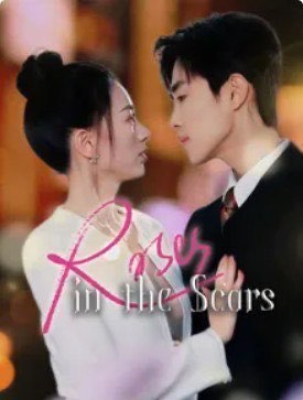 Roses In The Scars