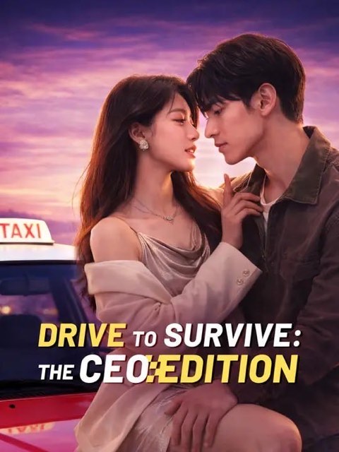 Drive to Survive The CEO Edition