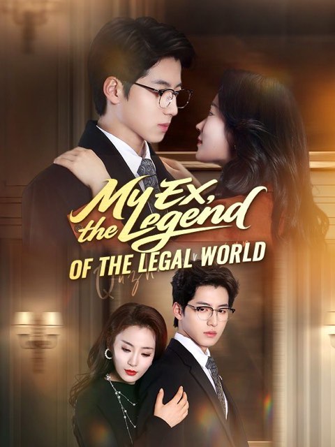 My Ex the Legend of the Legal World