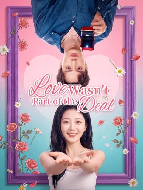 Love Wasn’t Part of the Deal