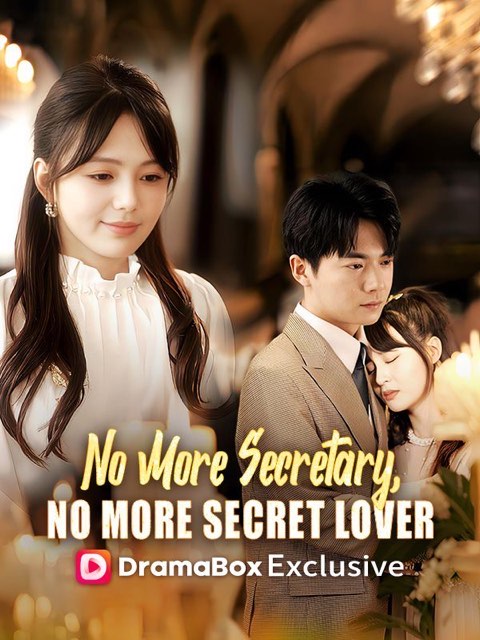 No More Secretary No More Secret Lover