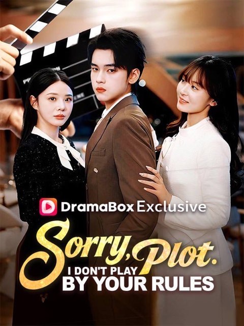 Sorry Plot I Don’t Play by Your Rules