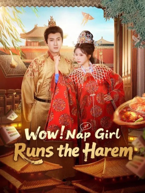 Wow Nap Girl Runs the Harem