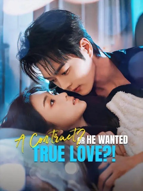 A Contract Or He Wanted True Love