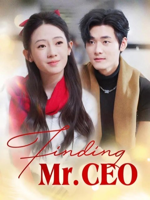 Finding Mr. CEO
