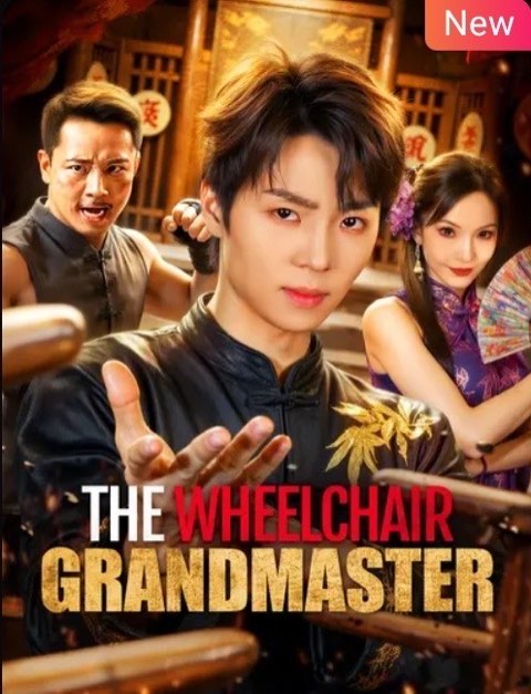 The Wheelchair Grandmaster