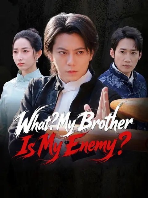 What My Brother Is My Enemy