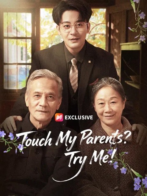 Touch My Parents Try Me
