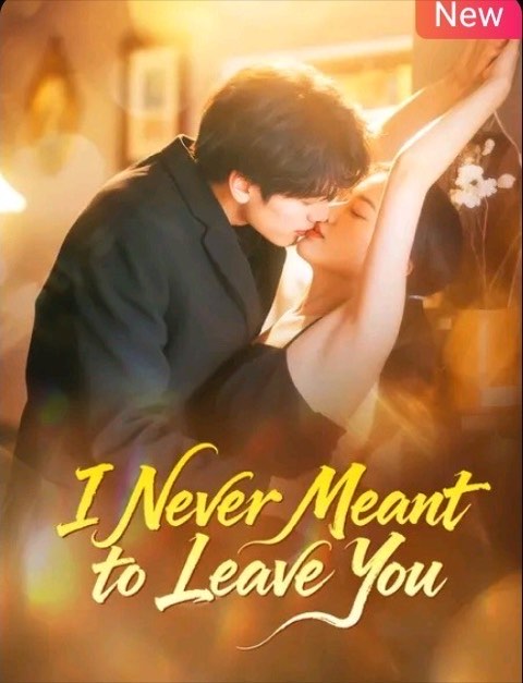 I Never Meant to Leave You