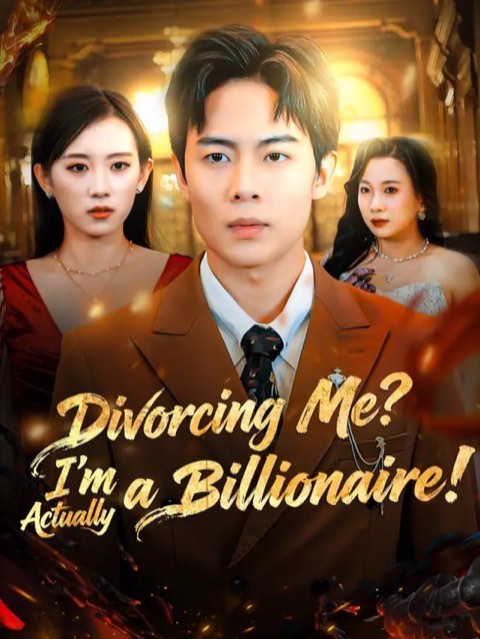 Divorcing Me I’m Actually a Billionaire