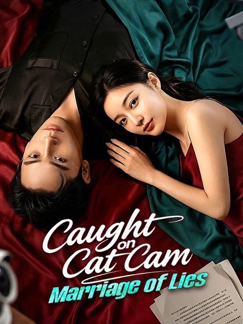 Caught on Cat Cam Marriage of Lies