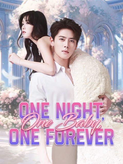 One Night One Baby One Forever