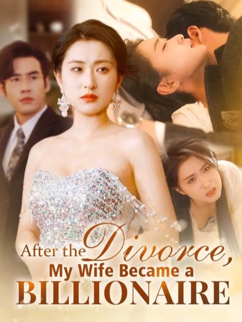 After the Divorce My Wife Became a Billionaire