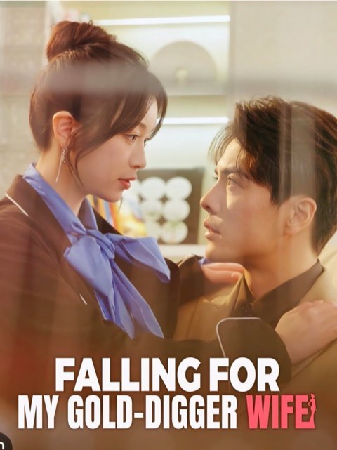 Falling For My Gold Digger Wife