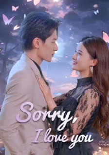 Sorry I Love You
