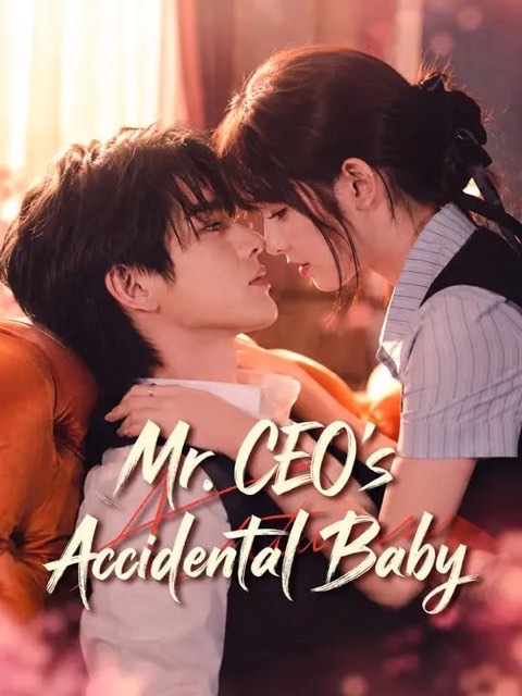 Mr CEO’s Accidental Baby