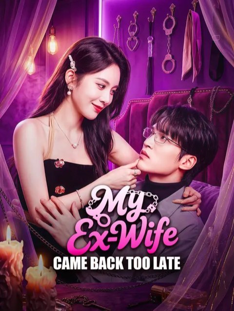 My Ex-Wife Came Back Too Late