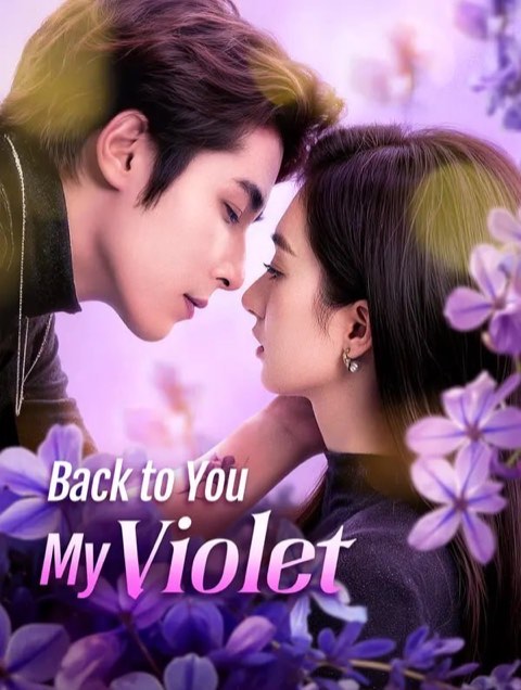 Back to You My Violet