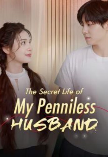 The Secret Life Of My Penniless Husband