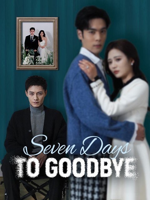 Seven Days To Goodbye