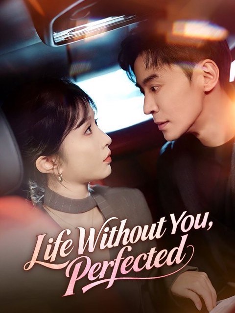 Life Without You Perfected