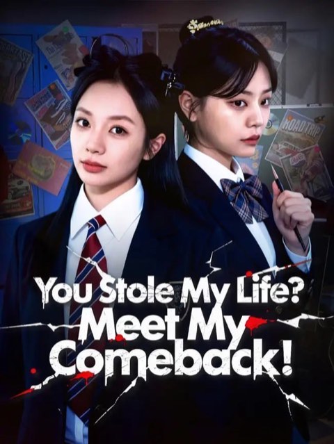 You Stole My Life Meet My Comeback