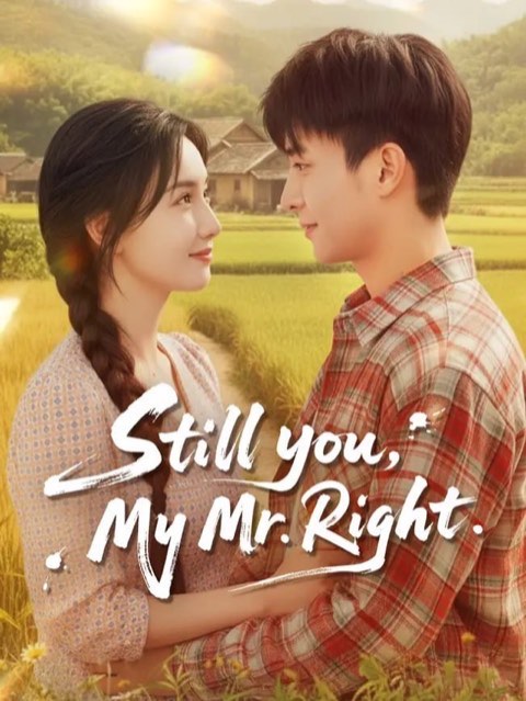 Still you My Mr Right