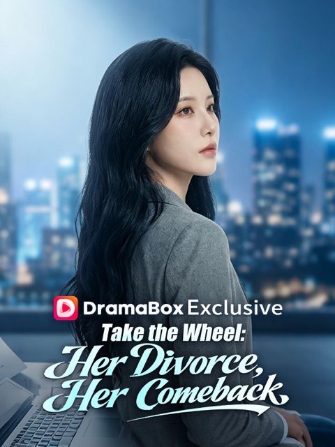 Take the Wheel Her Divorce Her Comeback