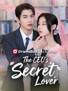 The CEO’s Secret Lover