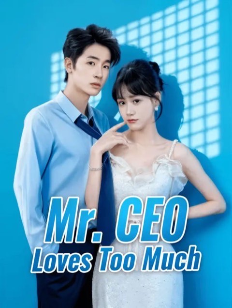 Mr CEO Loves Too Much