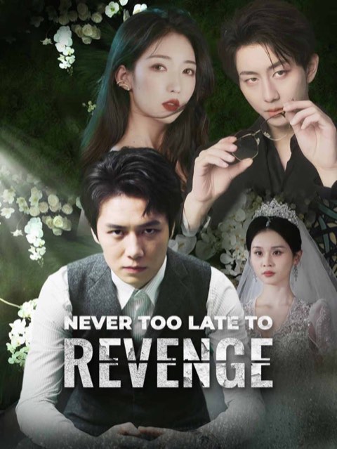 Never Too Late To Revenge (DUBBED)