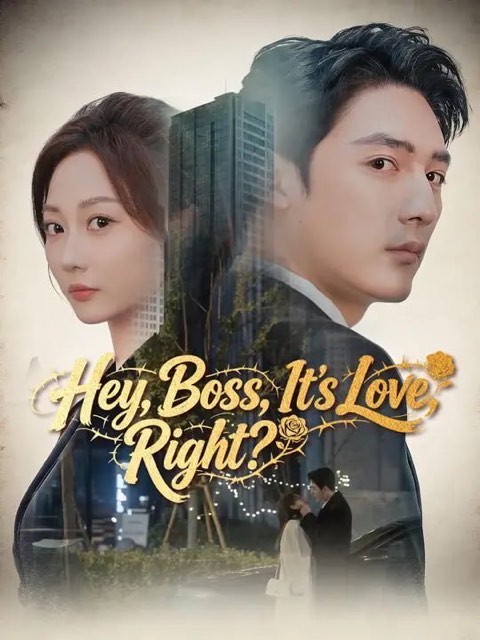 Hey Boss It’s Love Right