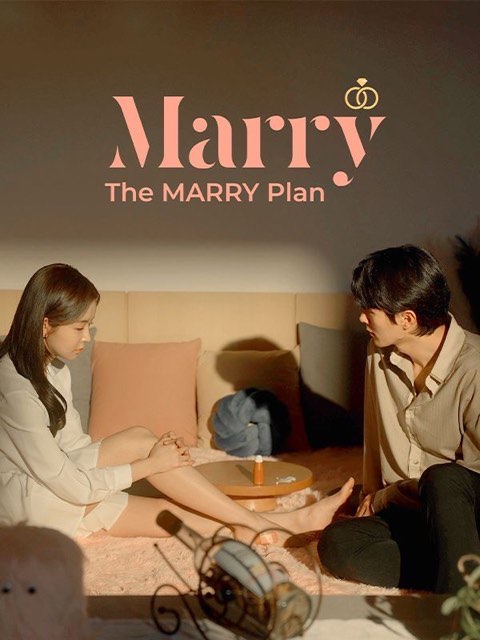 The MARRY Plan MARRY