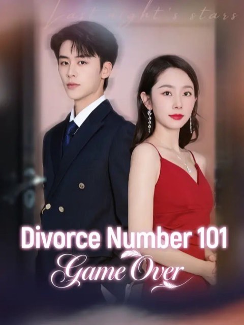 Divorce Number 101 Game Over