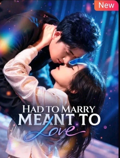 Had to Marry, Meant to Love
