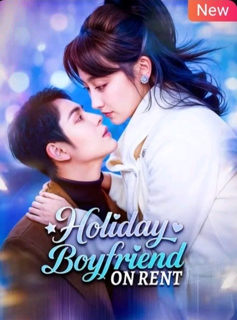 Holiday Boyfiend on Rent