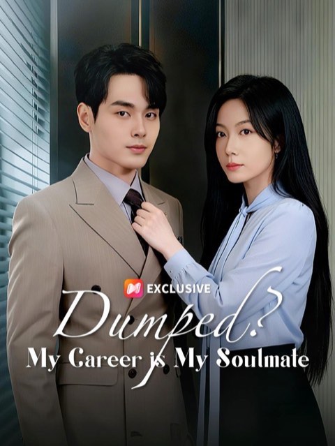 Dumped My Career Is My Soulmate