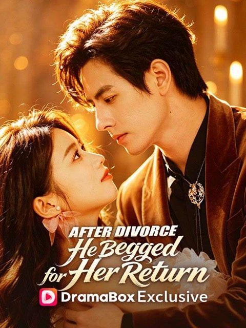 After Divorce He Begged for Her Return