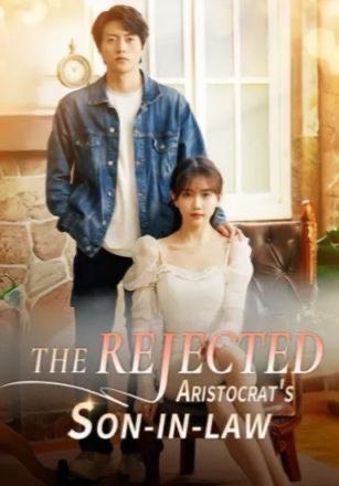 The Rejected Aristocrat’s Son-in-law