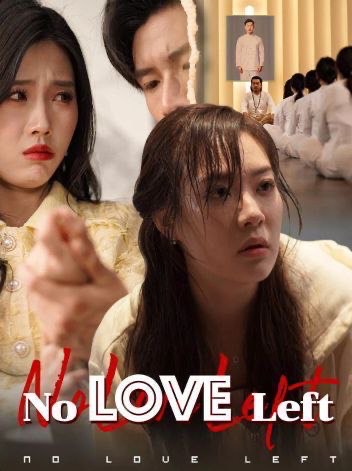 No Love Left