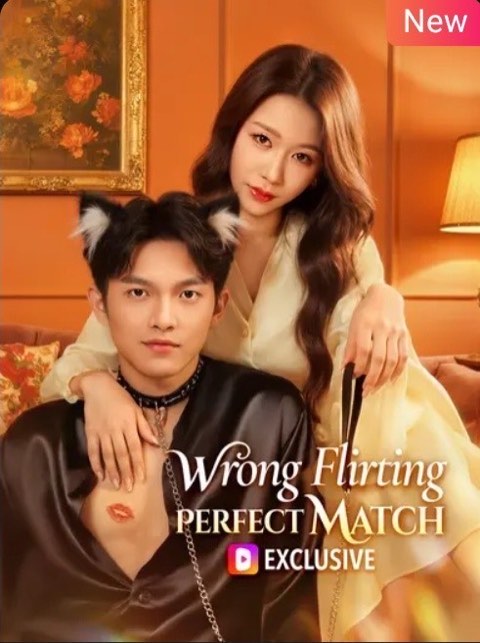 Wrong Flirting Perfect Match