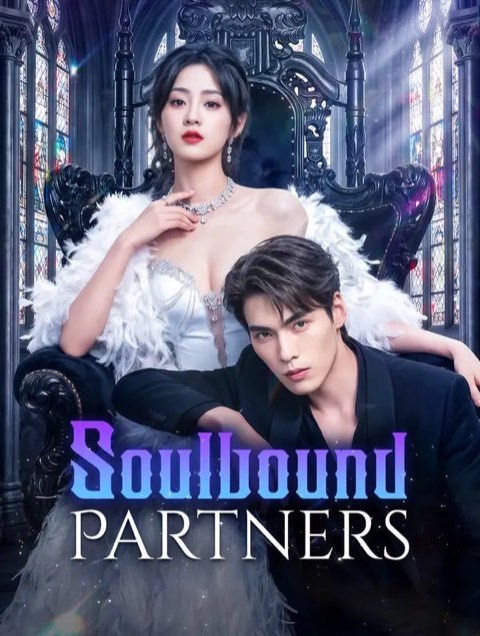 Soulbound Partners
